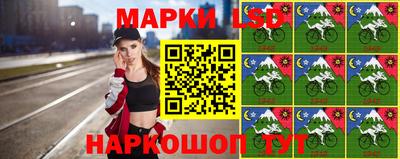 стаф Краснодар