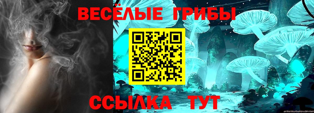 где купить   Псилоцибиновые грибы MAGIC MUSHROOMS  Вход с VPN  Дубна  Галлюциногенные грибы Psilocybine cubensis 